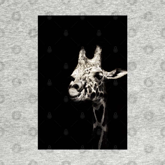 Give us a smile! Monochromatic | Black and White : Giraffe by sanityfound